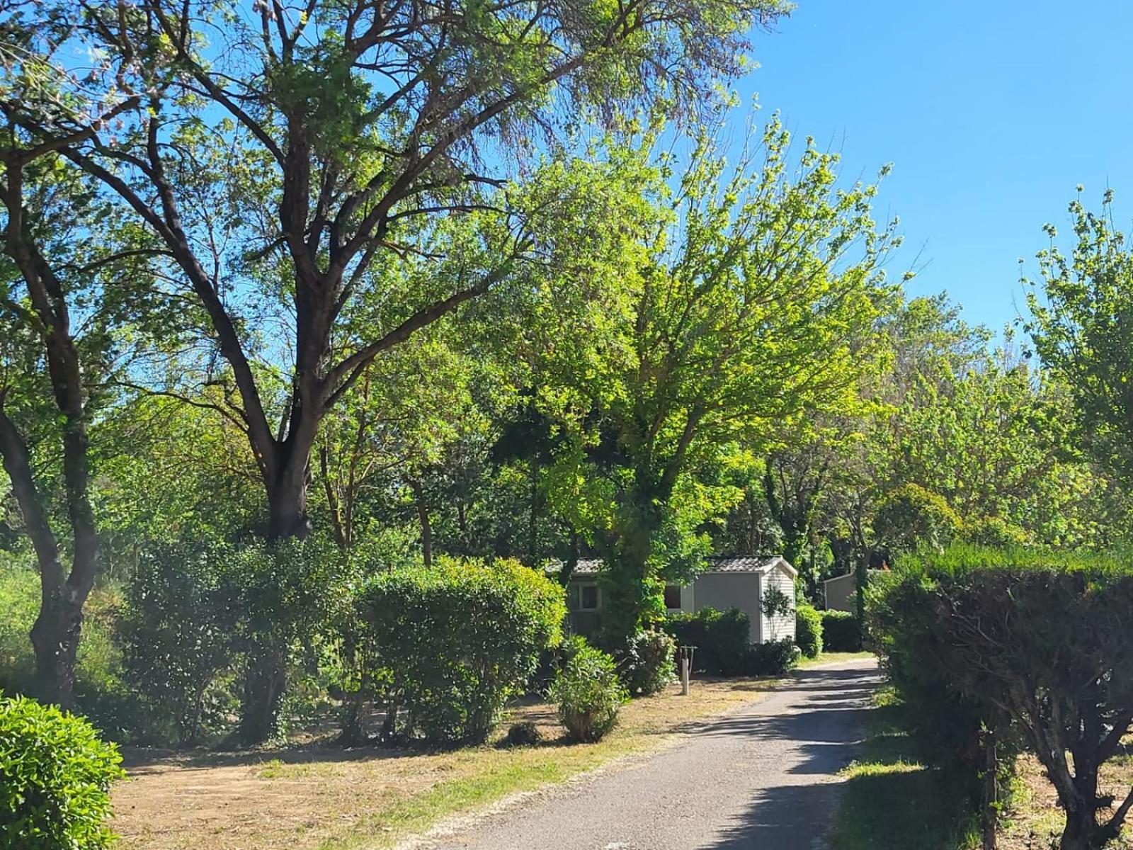 Camping Le Val De Cesse Mirepeisset Dış mekan fotoğraf