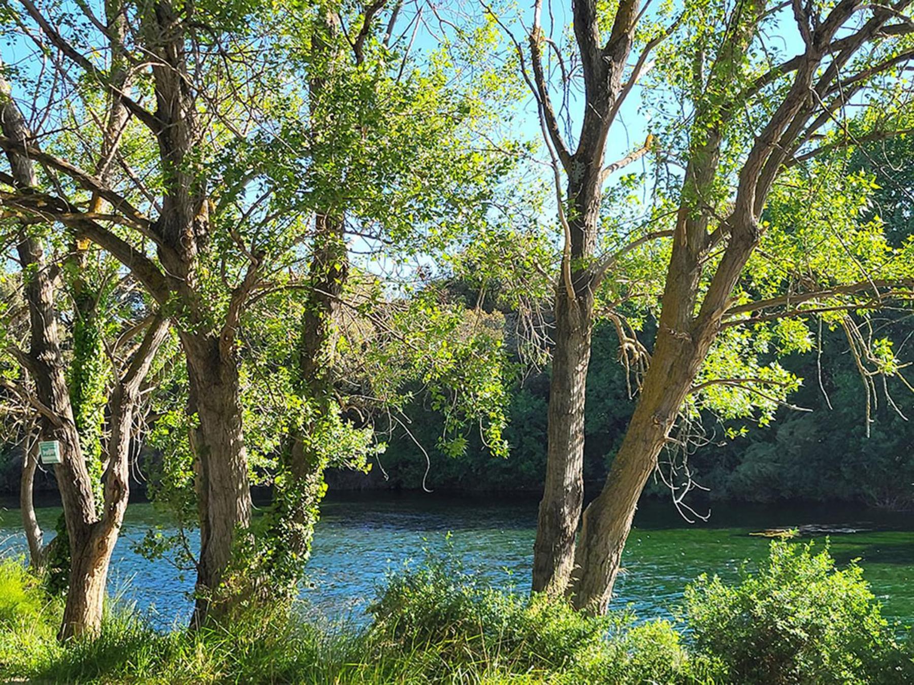 Camping Le Val De Cesse Mirepeisset Dış mekan fotoğraf